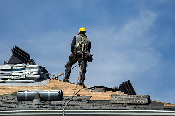 Professional Roof Replacement technician working in Satsuma, FL